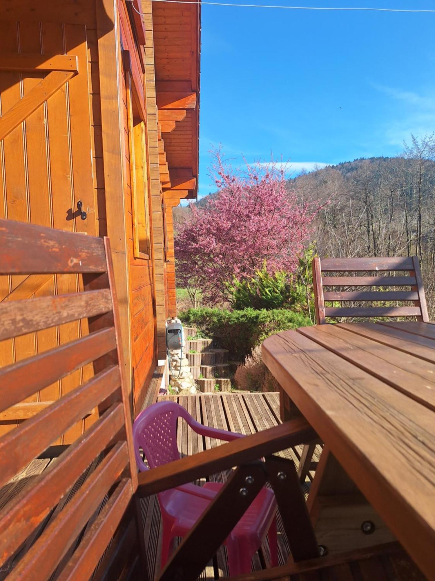 Chalet Notre Retraite Вантрон Экстерьер фото