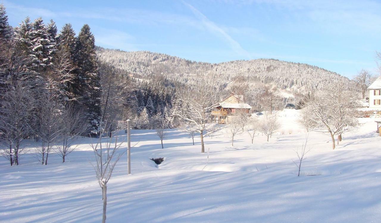 Chalet Notre Retraite Вантрон Экстерьер фото