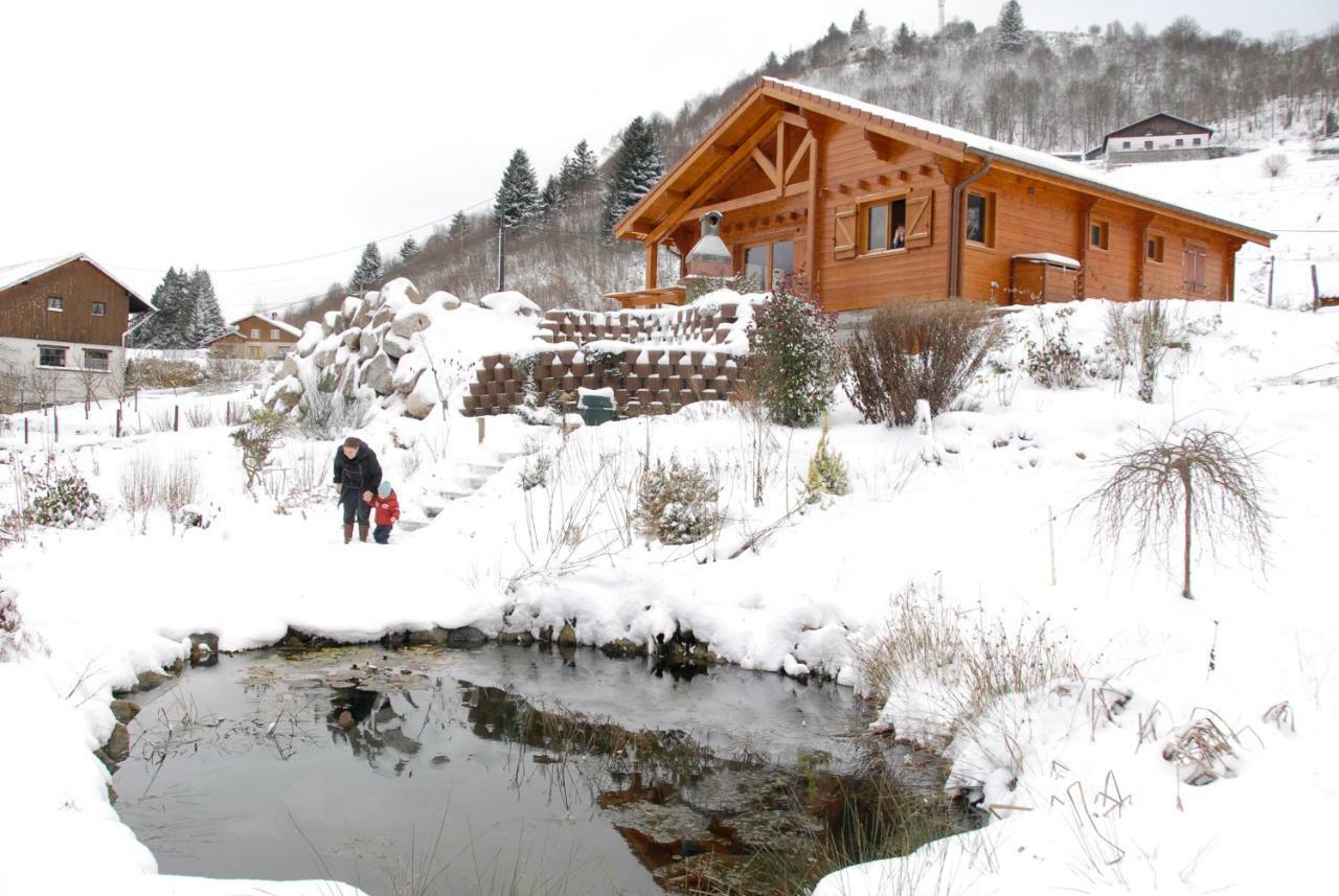 Chalet Notre Retraite Вантрон Экстерьер фото